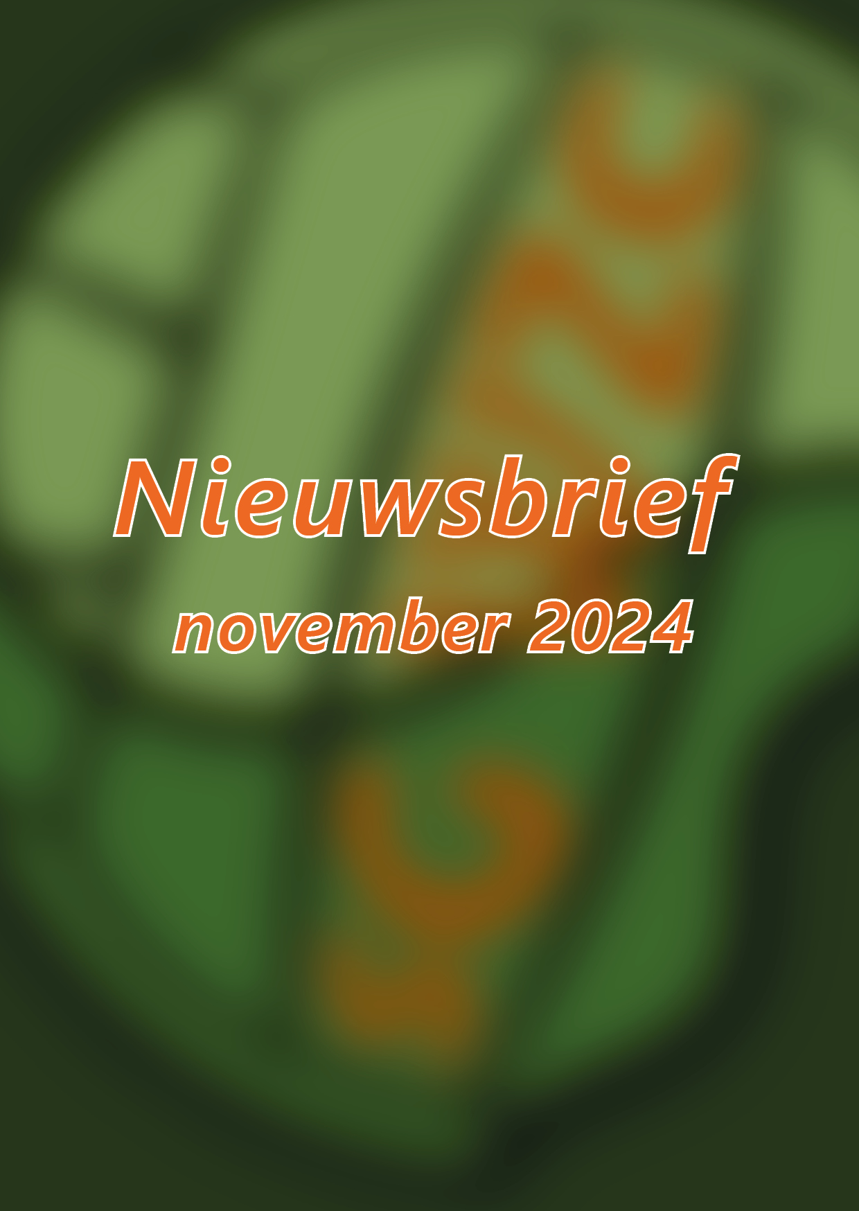 202411 afbeelding nieuwsbrief